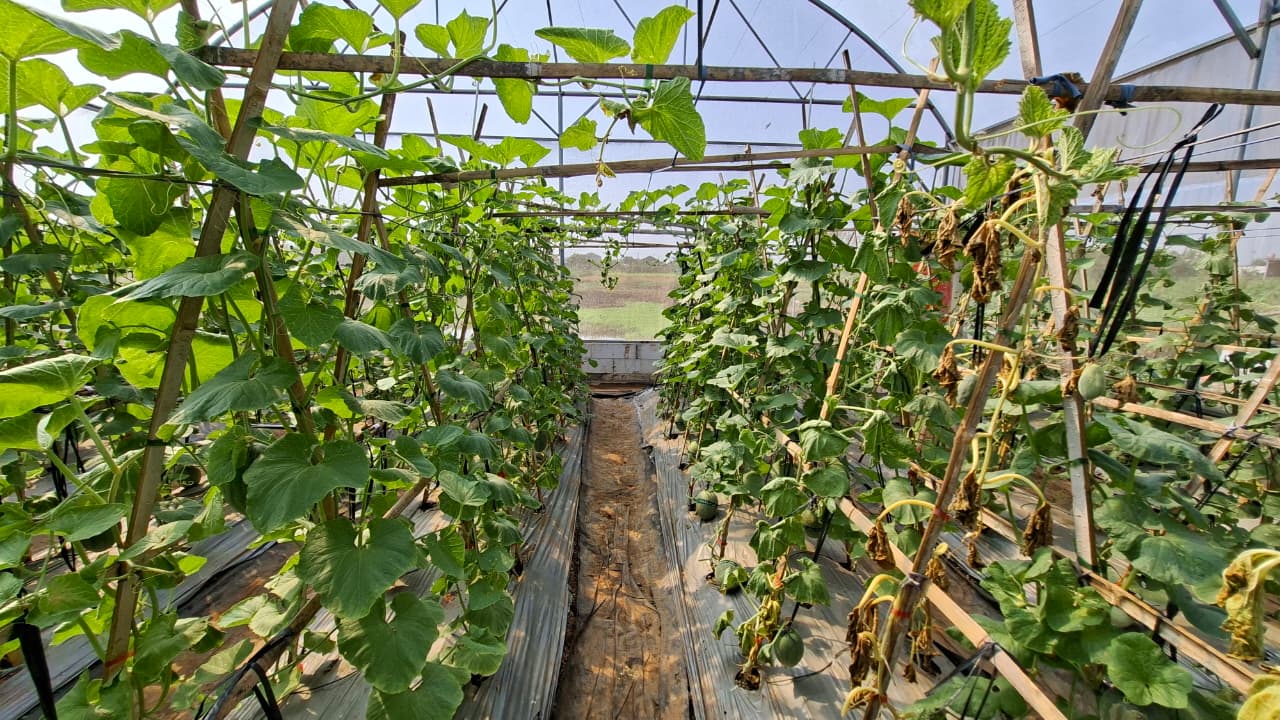 Agriculture Education