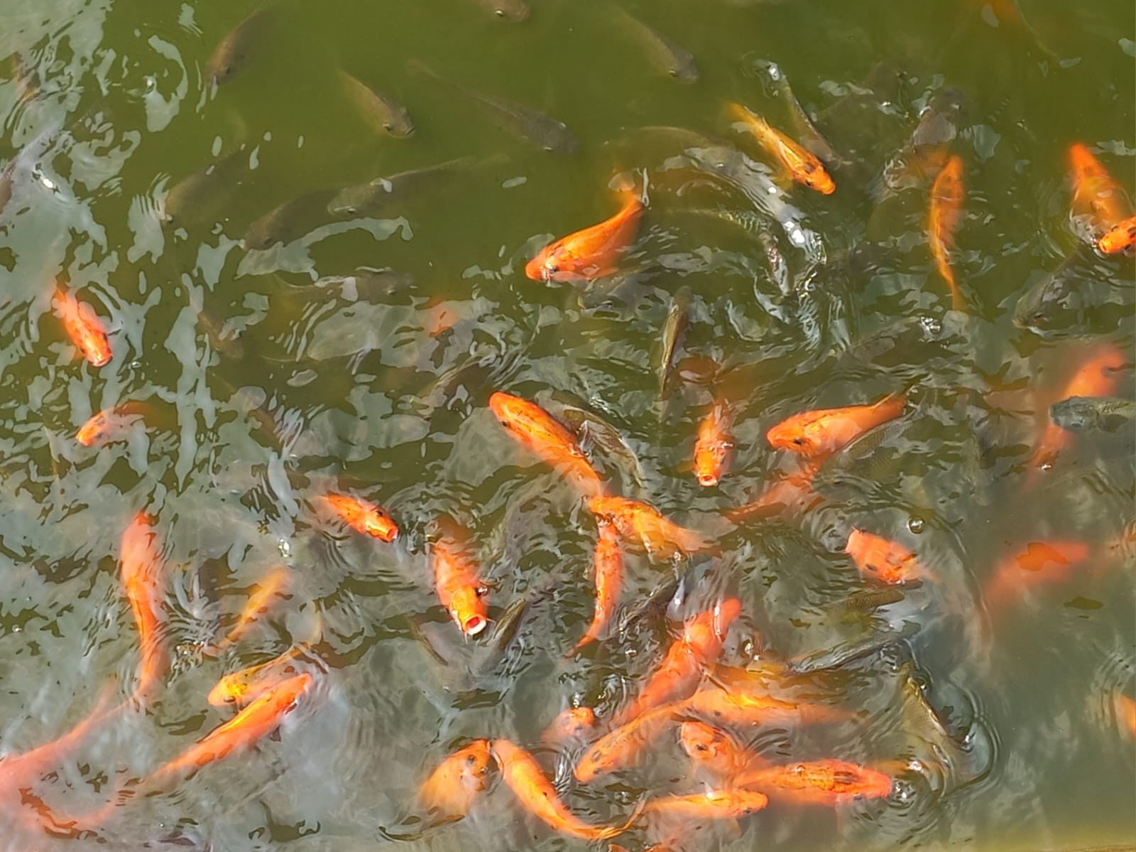 Kegiatan bersama keluarga